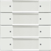 Busch-Jaeger Wandsender 6737/01-884
