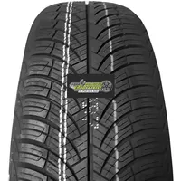 ARIVO Carlorful A/S 205/50 R1793W Ganzjahresreifen