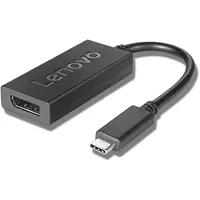 Lenovo USB-C/DisplayPort Adapter 0,20 m Schwarz