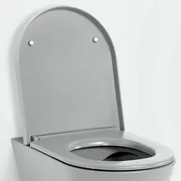 Laufen Kartell WC-Sitz grau matt
