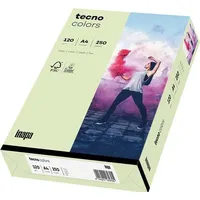 Inapa tecno colors A4 120 g/m2 250 Blatt hellgrün