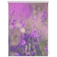 Lichtblick Rollo Klemmfix ohne Bohren, blickdicht, Blumenwiese Fuchsia Violett