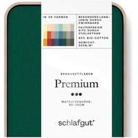 Schlafgut Premium Baumwolle 180 x 200 - 200 x