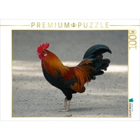 Calvendo Bunter Hahn 1000 Teile Puzzle quer