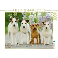 Calvendo Vier Freunde (Puzzle)