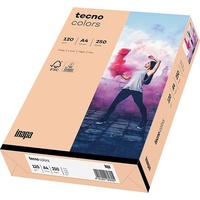 Inapa tecno colors A4 120 g/m2 250 Blatt lachs