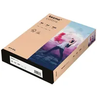 Inapa tecno colors A4 80 g/m2 500 Blatt lachs