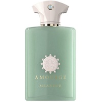 Amouage Meander Eau de Parfum 100 ml