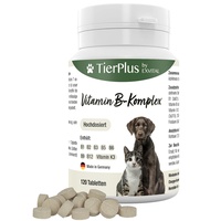 Exvital Vitamin B Komplex für Hunde & Katzen
