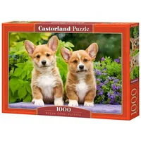 Castorland 104659 Welsh Corgi Welpen, 1000 Stück Puzzle