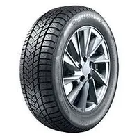 Sunny Wintermax NW211 275/40 R20 106V