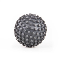 BodyNova Triggerpoint Ball Mini anthrazit