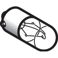 Schneider Electric Glühlampe BA9S, 24V DL1CE024
