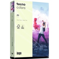Inapa tecno colors A4 160 g/m2 250 Blatt hellgrün