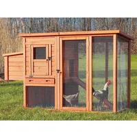 Trixie Hühnerstall mit Freilaufgehege 170 x 105 x 77