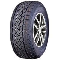Windforce Snowblazer 195/65 R15 91H