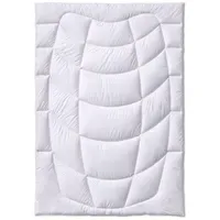 Kauffmann Kamelhaar 200x200 cm