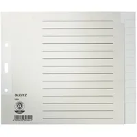 Leitz Register DIN A4 15teilig Papier grau