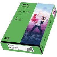 Inapa tecno colors intensivgrün, A4 120 g/qm 250 Blatt