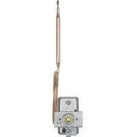 Jumo 60000219 Temperaturbegrenzer,