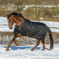 Bucas Irish Turnout 150g Classic - Black/Gold