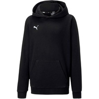 Puma teamGOAL 23 Casuals Hoody Jr Puma Black -