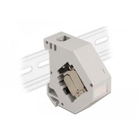 DeLock Hutschienenadapter mit Keystone Modul RJ45 Buchse Cat.6A LSA