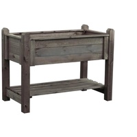Promadino Kräuterbeet 114 x 60 x 84,5 cm honigbraun