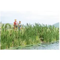 BUSCH Gräser/Rohrkolben 1256 H0