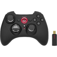 Speedlink Rait Gamepad wireless