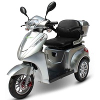 Efun Eco Engel 501 1000 Watt 25 km/h silber