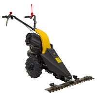 TEXAS CB8700