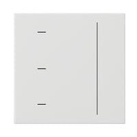Gira Touchaufsatz System 55 Reinweiß
