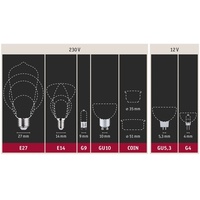 Paulmann LED Reflektor GU5,3 4,9W 3000K