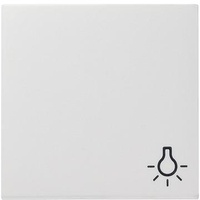 Gira Wippe Licht rws System55 028527