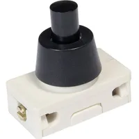 Inter Bär InterBär 3030-277.02 Druckschalter 250 V/AC 2 A