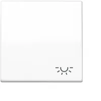 Jung Wippe Symbol Licht,