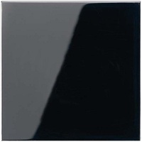 Jung ENOLS990SW EnOcean Funk-Wandsender 2-kanalig, Serie LS schwarz