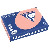Clairefontaine Multifunktionspapier Trophée, A4, pfirsich
