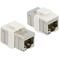 DeLock Adapter Modul RJ-45 Buchse via RJ-45 Buchse Cat6a