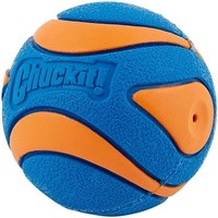 Chuckit! Ultra Squeaker Ball M