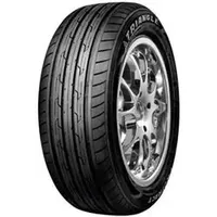 Triangle 225/65 R17 102H TE301
