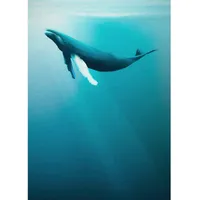 KOMAR Artsy Humpback Whal 200 x 280 cm