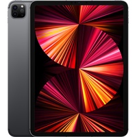 Apple iPad Pro 11" (3. Generation 2021) 1 TB