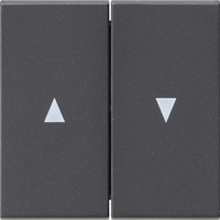 Gira Wippe 2fach mit Pfeilsymbol, anthrazit