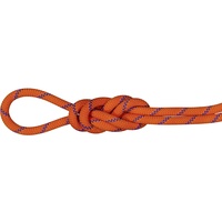 Mammut Alpine Sender Dry 9.0 Mm Rope Orange 50