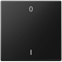 Jung Funk-Wandsender 2-Kanal ENO LS 990-01 SWM