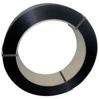Banholzer & Wenzel Kst.-Band 13x0,6mm Rolle a 3000 m