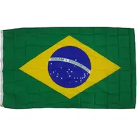 Trends4cents XXL Flagge Brasilien 250 x 150 cm