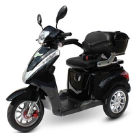 Efun Eco Engel 501 1000 Watt 25 km/h schwarz